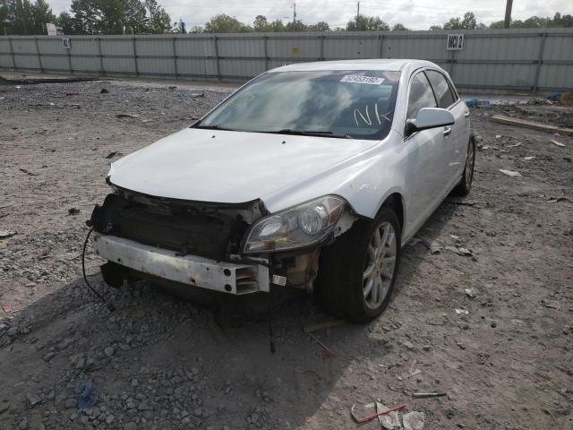 1G1ZE5E71BF107496 - 2011 CHEVROLET MALIBU LTZ Ağ foto 2