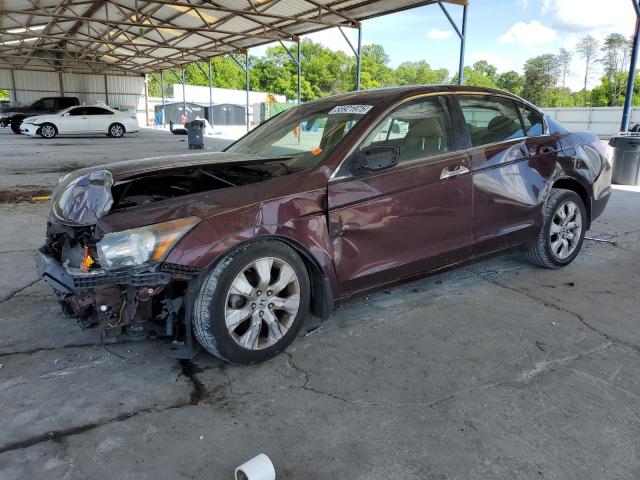 2010 HONDA ACCORD EXL, null