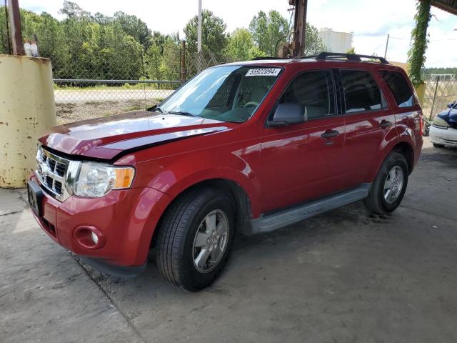 1FMCU0DG8BKA55498 - 2011 FORD ESCAPE XLT RED photo 1