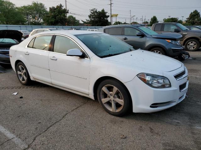 1G1ZC5EU9BF110433 - 2011 CHEVROLET MALIBU 1LT 白色 照片 4