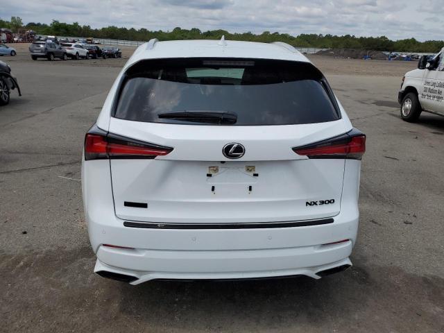 JTJSARBZ0M5026917 - 2021 LEXUS NX 300 BASE თეთრი ფოტო 6