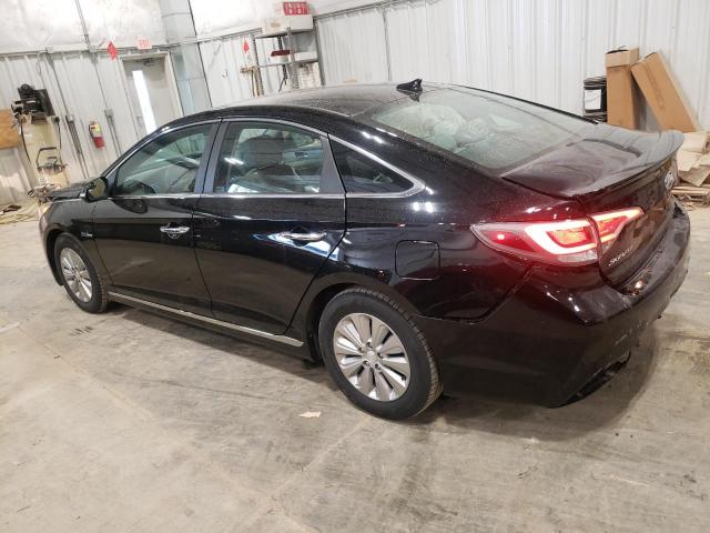 KMHE24L13GA031366 - 2016 HYUNDAI SONATA HYBRID BLACK photo 2