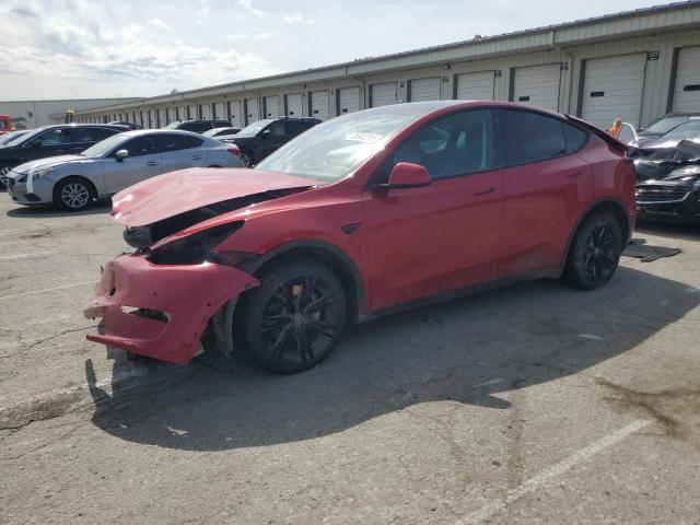 2021 TESLA MODEL Y, null