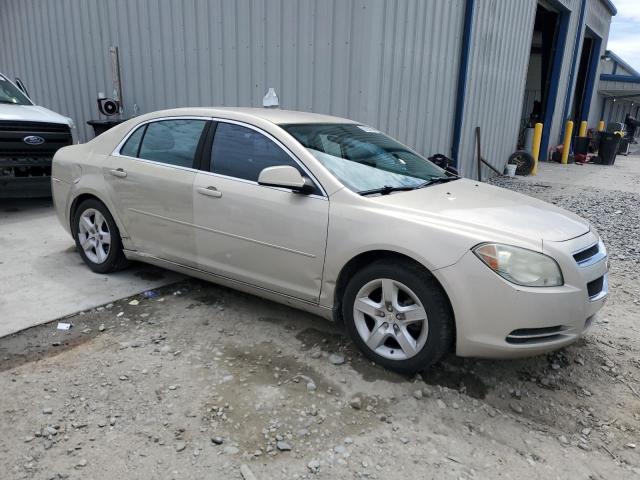 1G1ZH57B29F247432 - 2009 CHEVROLET MALIBU 1LT BEIGE photo 4
