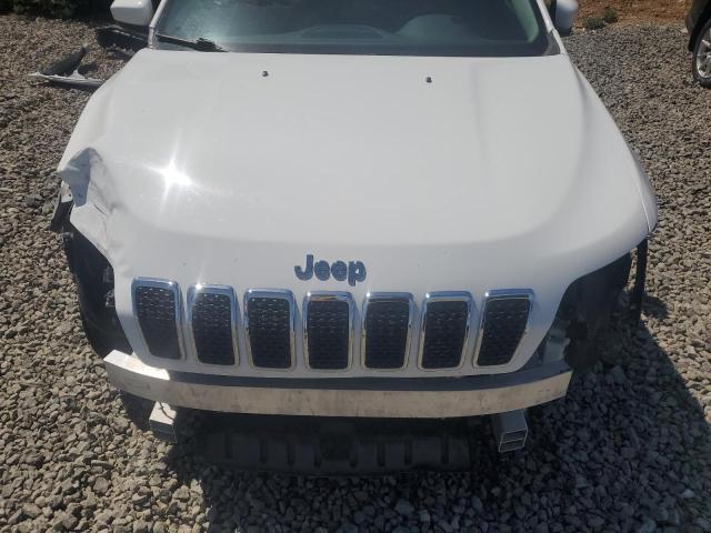 1C4PJMCX2KD219338 - 2019 JEEP CHEROKEE LATITUDE Ağ foto 11