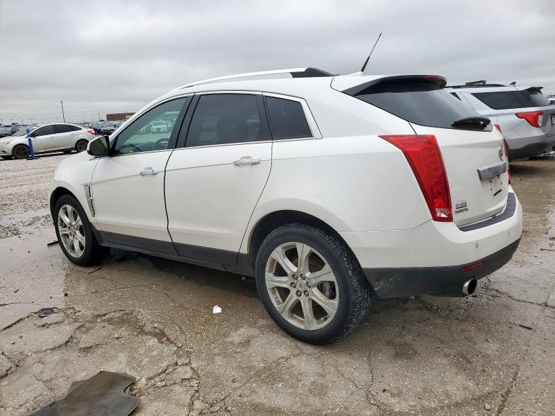 3GYFNBEY0AS557873 - 2010 CADILLAC SRX PERFORMANCE COLLECTION Белый фото 2
