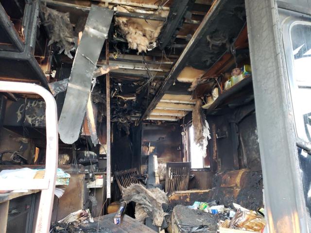 4UZAB2DTXECFT1113 - 2014 FREIGHTLINER CHASSIS XC ორფეროვანი ფოტო 6