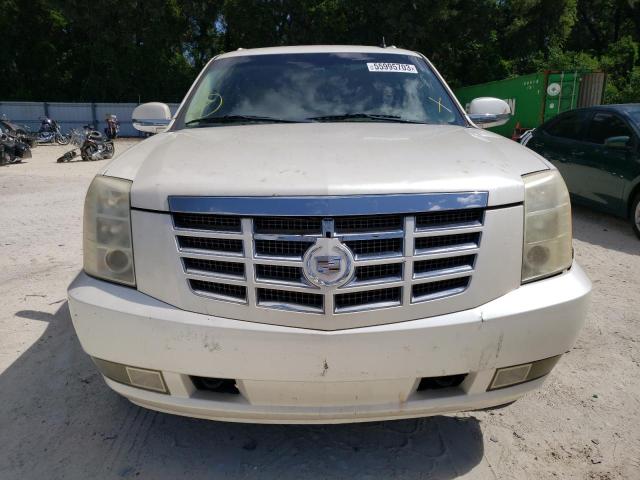 1GYFK26209R203059 - 2009 CADILLAC ESCALADE ESV LUXURY CREAM photo 5