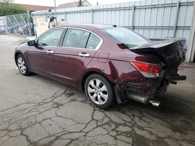 1HGCP36838A084183 - 2008 HONDA ACCORD EXL MAROON photo 2