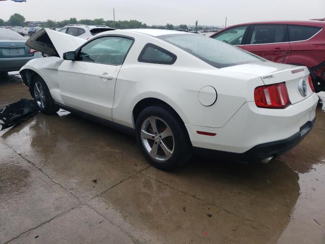 1ZVBP8AM3B5103131 - 2011 FORD MUSTANG WHITE photo 2