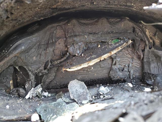 WA1VAAF79KD012960 - 2019 AUDI Q7 PRESTIGE 烧焦的 照片 8