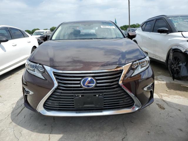 JTHBW1GG1H2153582 - 2017 LEXUS ES 300H BROWN photo 5