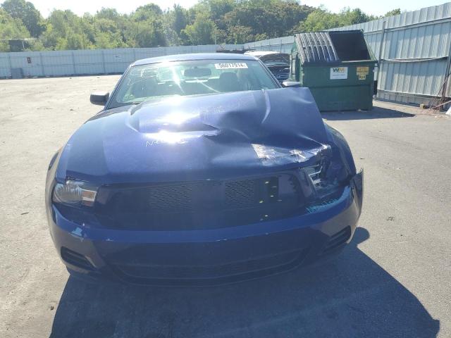 1ZVBP8AN2A5133244 - 2010 FORD MUSTANG BLUE photo 5