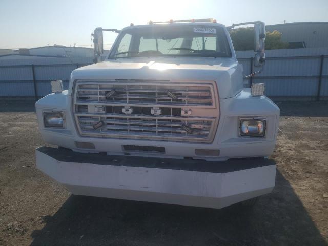 1FDMF60H1BVA10000 - 1981 FORD F600 WHITE photo 5