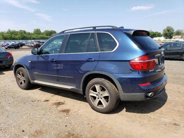5UXZW0C5XD0B95397 - 2013 BMW X5 XDRIVE35D BLUE photo 2