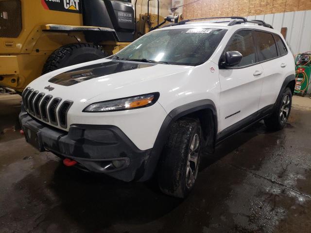 1C4PJMBX0JD509660 - 2018 JEEP CHEROKEE TRAILHAWK WHITE photo 1