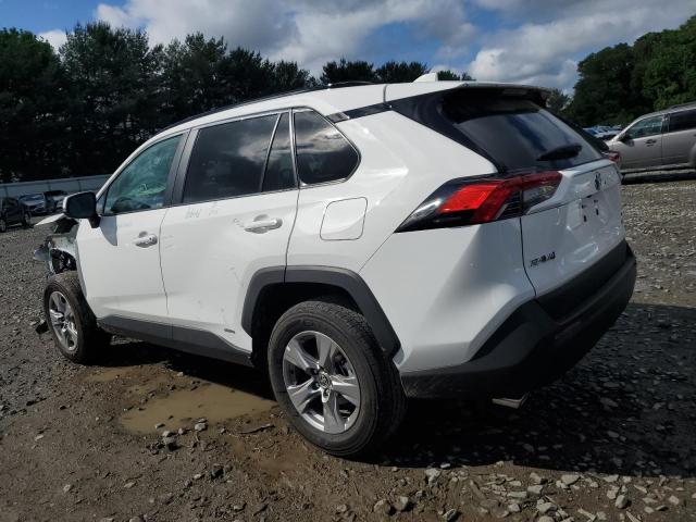 2T3RWRFVXRW206402 - 2024 TOYOTA RAV4 XLE WHITE photo 2