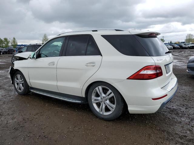 4JGDA2EB2DA136839 - 2013 MERCEDES-BENZ ML 350 BLUETEC WHITE photo 2