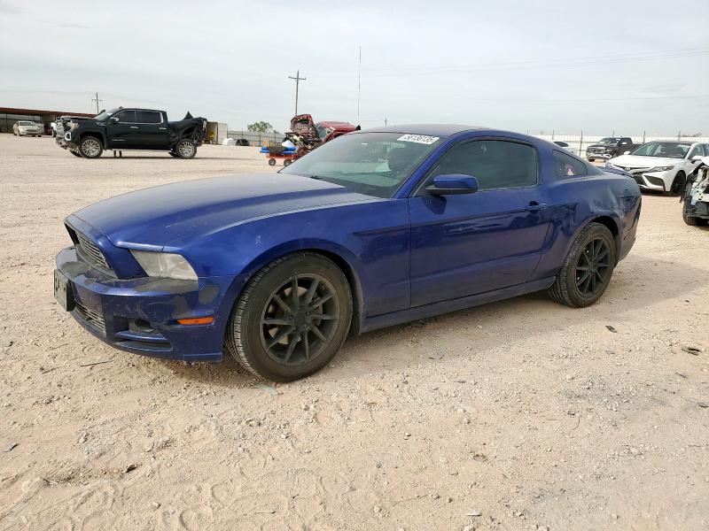 2014 FORD MUSTANG, null