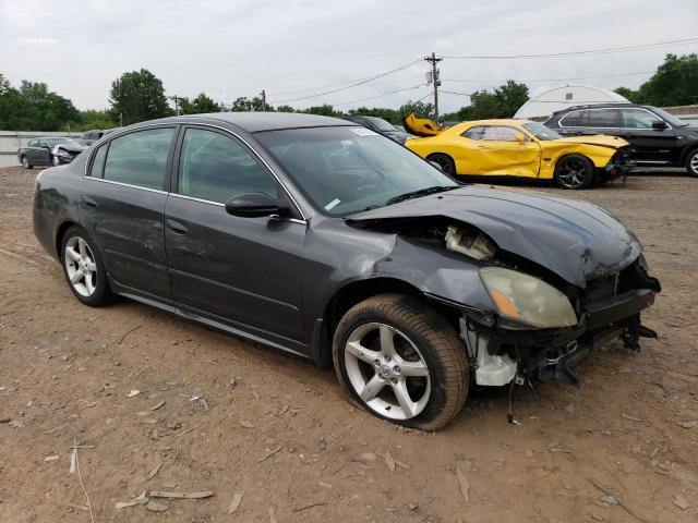 1N4BL11DX6N323643 - 2006 NISSAN ALTIMA SE GRAY photo 4