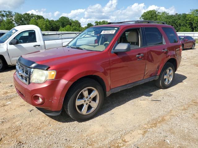 2009 FORD ESCAPE XLT, 