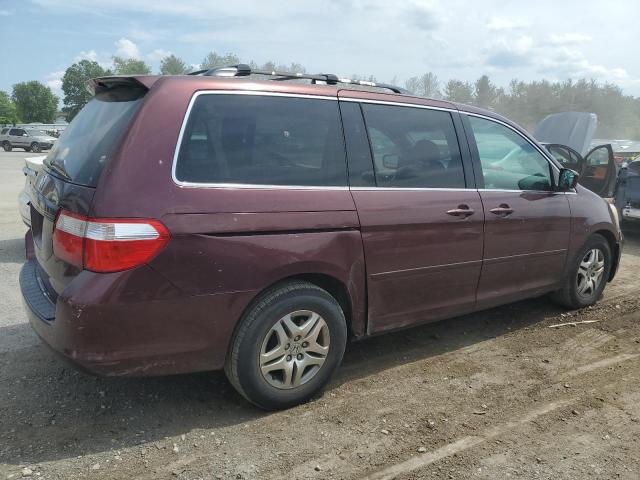 5FNRL38607B418692 - 2007 HONDA ODYSSEY EXL BURGUNDY photo 3