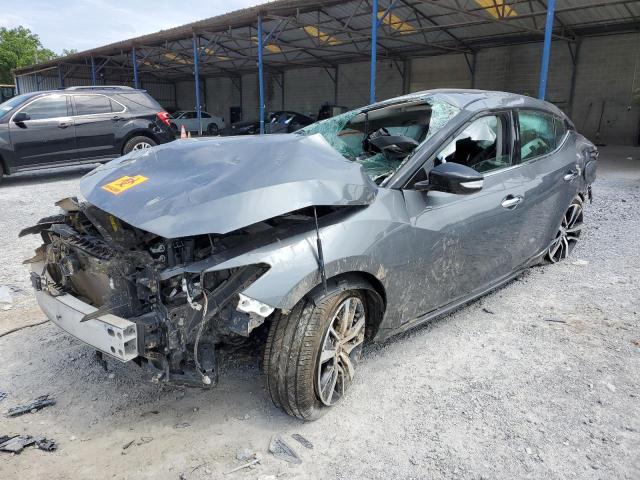 1N4AA6CV1LC377599 - 2020 NISSAN MAXIMA SV GRAY photo 1