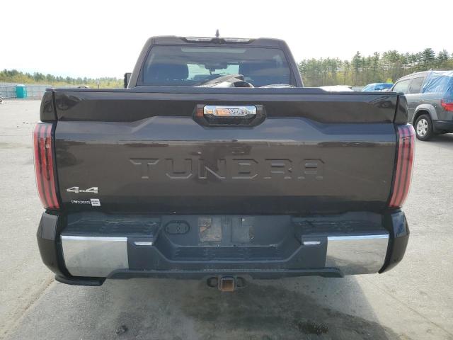 5TFMC5DB9NX002989 - 2022 TOYOTA TUNDRA CREWMAX PLATINUM ყავისფერი ფოტო 6