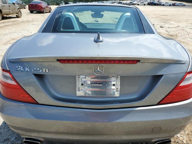 WDDPK4HA5EF091581 - 2014 MERCEDES-BENZ SLK 250 SILVER photo 10