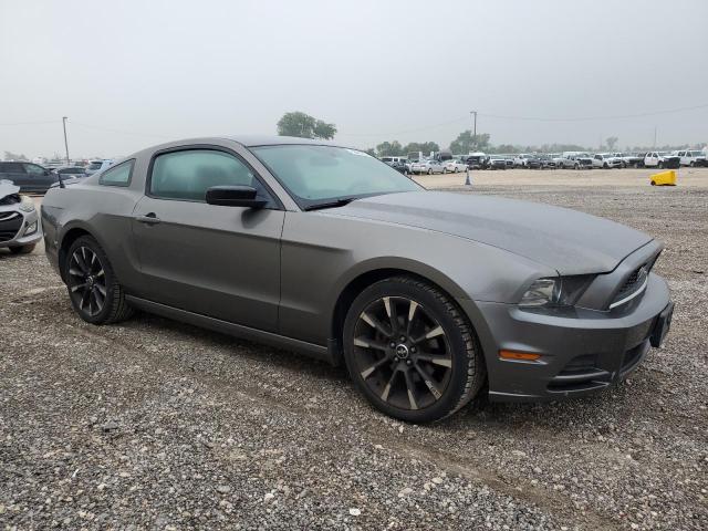 1ZVBP8AM4D5256992 - 2013 FORD MUSTANG GRAY photo 4