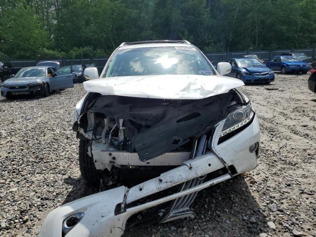 2T2BK1BA9EC246259 - 2014 LEXUS RX 350 BASE WHITE photo 5