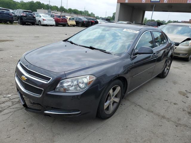 1G1ZC5E18BF296049 - 2011 CHEVROLET MALIBU 1LT GRAY photo 1