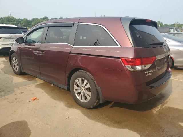 5FNRL5H67GB025736 - 2016 HONDA ODYSSEY EXL BURGUNDY photo 2