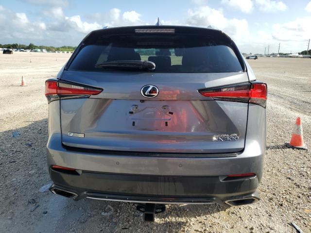 JTJYARBZXK2122062 - 2019 LEXUS NX 300 BASE Boz foto 6