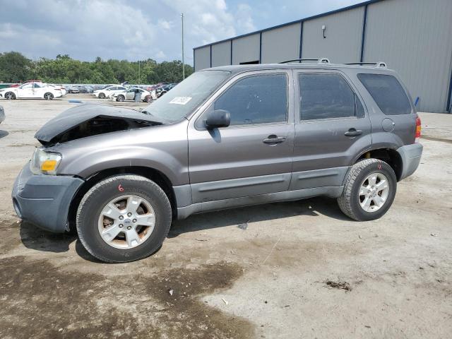 1FMYU93175KD52922 - 2005 FORD ESCAPE XLT GRAY photo 1