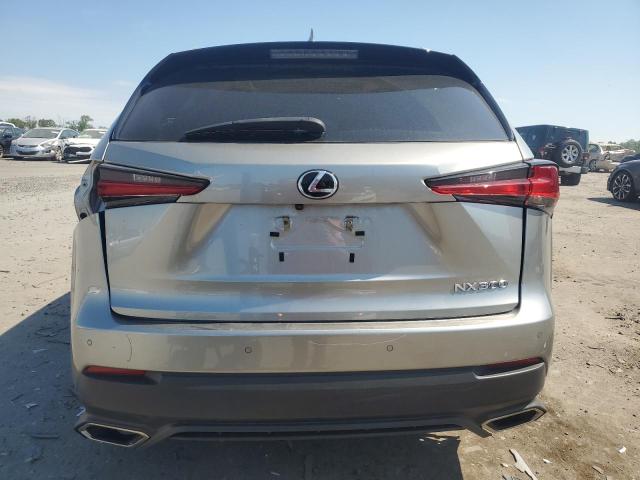 JTJBARBZ5K2214718 - 2019 LEXUS NX 300 BASE ვერცხლისფერი ფოტო 6