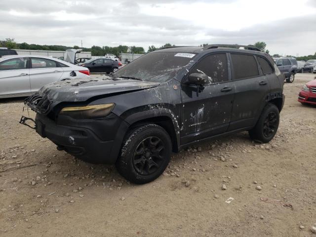 1C4PJMBX8LD630231 - 2020 JEEP CHEROKEE TRAILHAWK GRAY photo 1