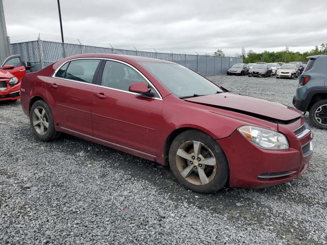 1G1ZD5EU8BF295832 - 2011 CHEVROLET MALIBU 2LT RED photo 4