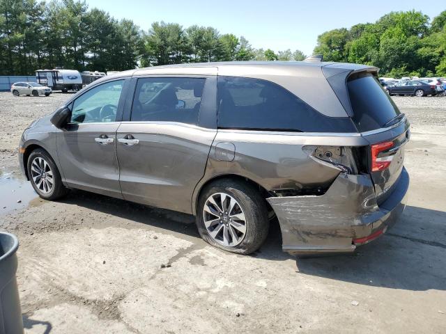 5FNRL6H70MB036765 - 2021 HONDA ODYSSEY EXL BROWN photo 2