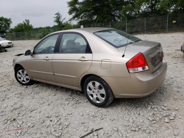 KNAFE121575437719 - 2007 KIA SPECTRA EX GOLD photo 2