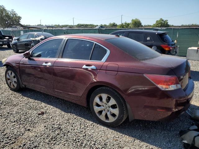 1HGCP26878A060723 - 2008 HONDA ACCORD EXL MAROON photo 2