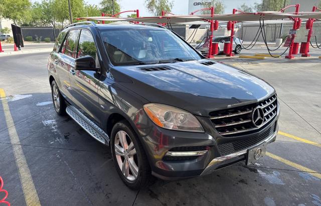 4JGDA5HBXCA016296 - 2012 MERCEDES-BENZ ML 350 4MATIC BLUE photo 1