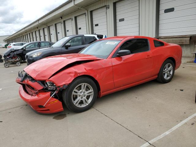 2014 FORD MUSTANG, null