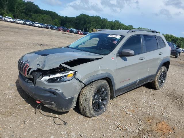 1C4PJMBX3KD400997 - 2019 JEEP CHEROKEE TRAILHAWK GRAY photo 1