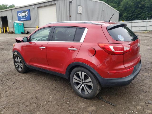 KNDPC3A23D7490390 - 2013 KIA SPORTAGE EX RED photo 2