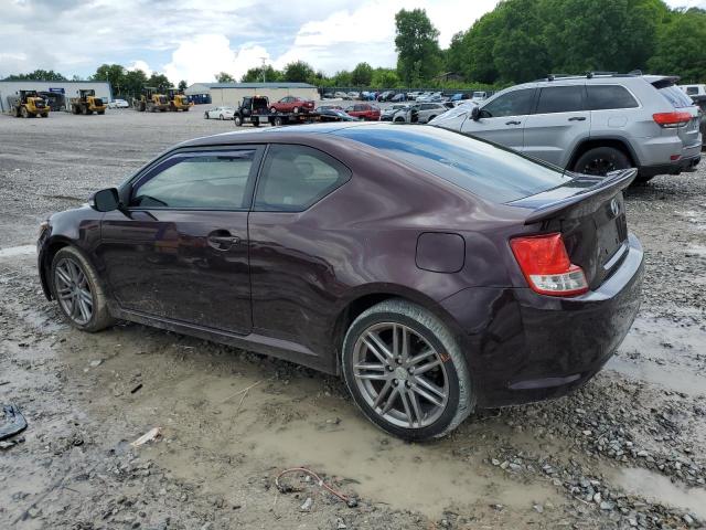 JTKJF5C77D3062789 - 2013 TOYOTA SCION TC Bənövşəyi foto 2