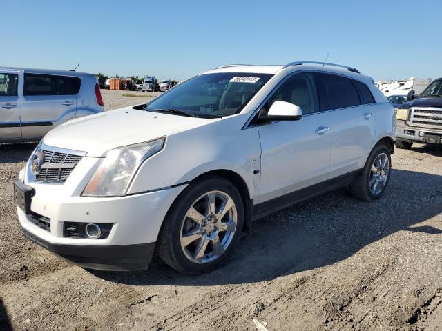 3GYFNEEY6BS558884 - 2011 CADILLAC SRX PERFORMANCE COLLECTION WHITE photo 1