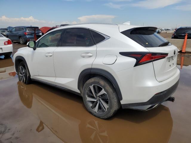 JTJGARDZ9M5025056 - 2021 LEXUS NX 300 BASE თეთრი ფოტო 2