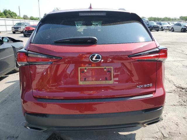 JTJBARBZ3K2210117 - 2019 LEXUS NX 300 BASE წითელი ფოტო 6