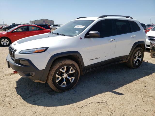 1C4PJMBB7HW654181 - 2017 JEEP CHEROKEE TRAILHAWK WHITE photo 1
